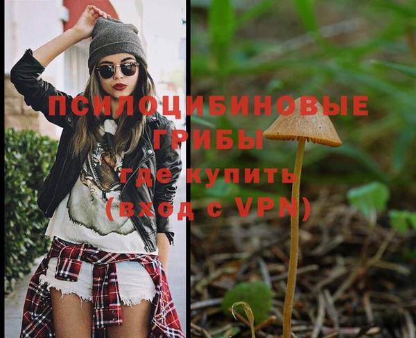 дживик Балабаново