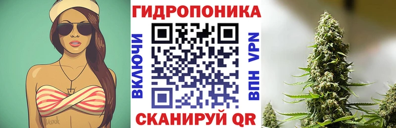 Шишки марихуана SATIVA & INDICA  цена наркотик  Беломорск 